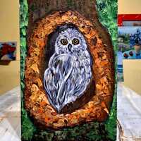 Little owl in a hollow acrylic painting.Owl acrylic painting.Original textured acrylic painting.Wood