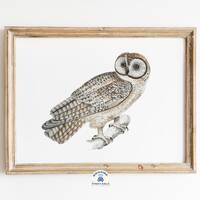 Owl Painting, Owl Print, Owl Gift, Owl Decor, Bird Drawing, Bird Painting, Modern Farmhouse Wall Art