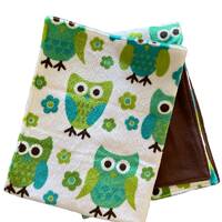 Owls minky security blanket