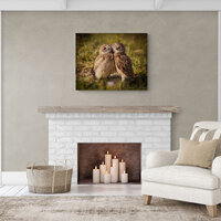 Burrowing Owl Owls Photograph Photo Print Art Wall Print Portrait Gift Canvas Metal Giclee Acrylic L