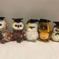 Ty Beanie Babies Choice of Graduation Owls