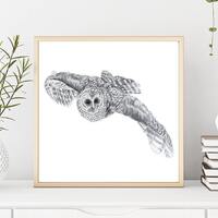 Barred Owl Pencil Illustration Print