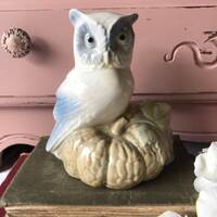 Beautifully decorative Porcelain Owl