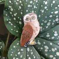 Short-eared Owl Lapel Pin or Magnet