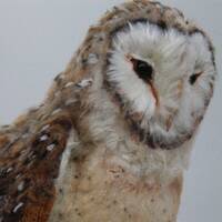 Needle Felted Barn Owl Sculpture: Large Realistic Wool Fiber Art.