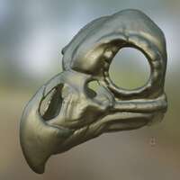 Owl Skull Mask .STL files for 3D printing