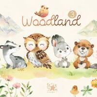 Woodland 3. Little animals watercolor clip art, owl, rabbit, beaver, badger, hare, florals, baby-sho