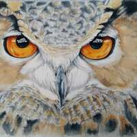 Eagle owl fine art print, wildlife limited edition giclee print from my watercolour of a magnificent