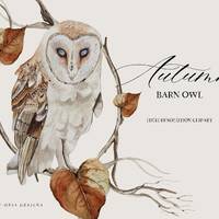 Autumn Barn Owl Clipart - Watercolor Owl - Nursery Clipart - Nursery Watercolor - Woodland Watercolo