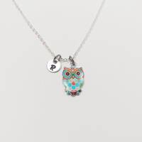 Owl Necklace, Charm Necklace, Owl Charm, Delicate Necklace, Barn Owl Necklace, Night Owl Jewelry, Ow