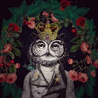 Mr Owl Digital Art, owl, animal portrait, digital art, giclee art prints