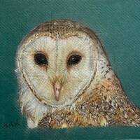 Barn Owl Art Print (Proceeds Donated to Wildlife Conservation)