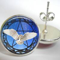 Owl Earrings, Owl with Pentagram Earrings, Owl with Pentagram Jewelry, Magical Owl Earrings, magical