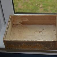 Vintage White Owl Invincible Cigar Box