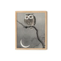 Vintage Owl Print, Halloween Owl, A long-eared owl on a bare tree branch (1900 - 1930), Vintage Hall