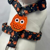 Dog Harness - Hoot Owl Halloween
