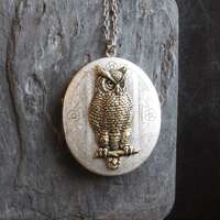 Owl locket, bird necklace, silver owl locket, long necklace, owl jewelry, large locket, unique neckl