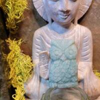 Awesome Shiny Amazonite Owl Carving