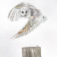 Owl - Original Watercolor Painting by LocateHereArt, 9x12