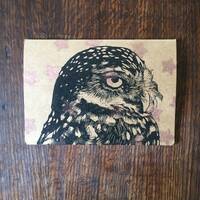 Sketchbook. A5. With owl linocut print and spray painted stars.