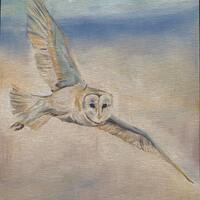 Original Oil Painting on Canvas Board: Barn Owl, Hunting
