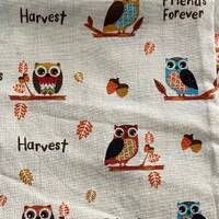 Fall Harvest Owl OR scrub cap. With choice of men’s, European, or ponytail. Add ons available: