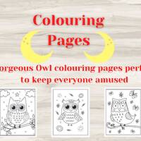 10 gorgeous owl digital colouring pages for focusing, stress relief, teachers, anxiety, parents, adu