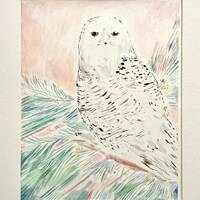 Snowy Owl - Original Owl Art - Owl Painting - Owl Gift - Snowy Owl Painting - Owl Decor - Snowy Owl 