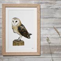 Wallart Barn Owl Watercolour Print, Country Home Decor (A4/A5 size available)