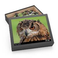 Owl Puzzle, Jigsaw (120, 252, 500-Piece), Puzzle Lover, Family Games, Stocking Filler