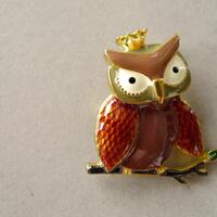 Owl Enamel Pin