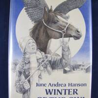 Winter of the Owl // 1980 Hardback w Jacket & Cover, 1st Ed // Young Reader Chapter book // adve