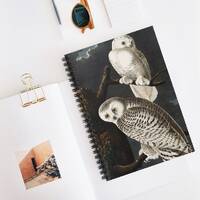 Owl Spiral Notebook - Ruled Line, Bird Notebook, Journal, Art Notebook, Unique Notebook