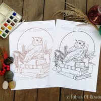 Owl coloring page, Spellbooks, Printable Coloring Sheet, Adult Coloring Sheet