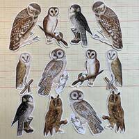 Owl stickers - pairs - left and right oriented