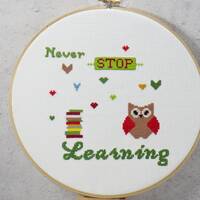 Never Stop Learning Modern Cross Stitch, Teacher Owl Embroidery Pattern, Back to School Design, PDF