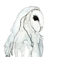 Barn Owl Print, Blue Bird Art, Owl Watercolor Painting, Animal Watercolor Pen and Ink Giclee Print, 