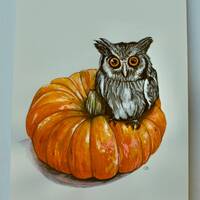 Pumpkin with Baby Owl Painting