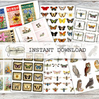 Printable Junk Journal Embellishments, Digital Download, Owls, Bingo Cards, Mushrooms, Insects, Flow