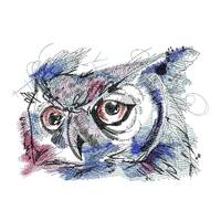 Owl Face Embroidery Design: Colorful Artistic Machine Embroidery (Digitized Files)