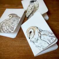 Barn Owl, Falcon, Blue Heron, Lined Pocket Journals, Watercolor and Ink Art
