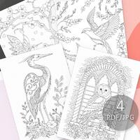 Set of 4 Birds Coloring Pages, Owl, Herron, Humminbird, Swallow Instant Download PDF JPG Files