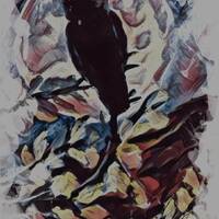 Owl Silhouette (Print)