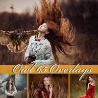 Owl overlays, realistic flying owl, flying bird, overlay, photoshop overlays, birds, overlays, trans