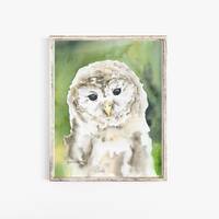 Barred Owl Watercolor Painting Giclee Print Unframed
