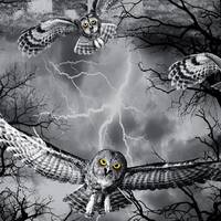 Wicked Fog - Night Fog Owls from Timeless Treasures Fabric