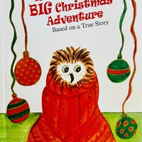 Rocky's Christmas Owl: Children's Friendship Book