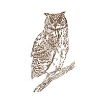 Owl Machine Embroidery Design, Sketched Style Bird Animal Instant Download ZIP- 4 sizes