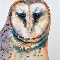 Barn Owl Original Watercolor Painting Owl Art Owls Bird of Prey Birds Wildlife Small Painting Owl Ey