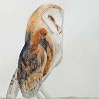 halloween decoration halloween decor barn owl painting owl print Peek a boo nursery art print SEE PH